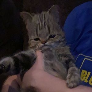 Meet your Posher, Johnathan